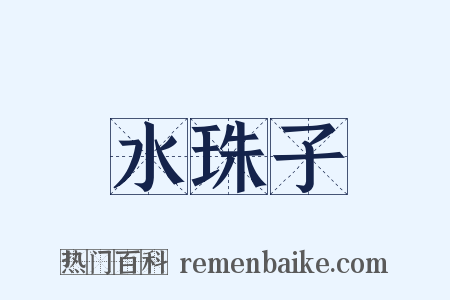 水珠子是什么意思的图片